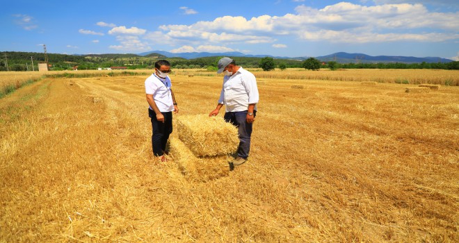 BÜYÜKŞEHİR DESTEKLİYOR, MUĞLALI ÇİFTÇİLER ÜRETİYOR