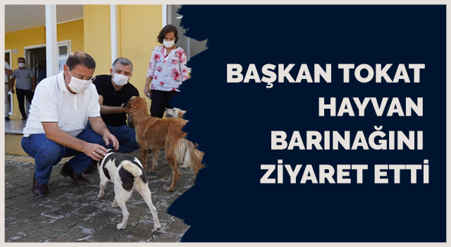 BAŞKAN TOKAT HAYVAN BARINAĞINI ZİYARET ETTİ