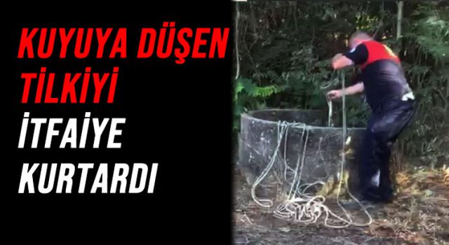 KUYUYA DÜŞEN TİLKİYİ İTFAİYE EKİPLERİ KURTARDI