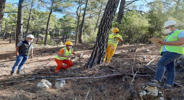 MUĞLA’DA 2021 YILI PLANLI DAMGALAR YAPILDI