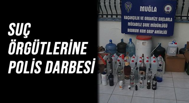 SUÇ ÖRGÜTLERİNE POLİS DARBESİ