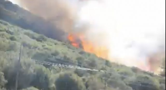 Kundakçı Milas Emniyeti ve Jandarma’ dan Kaçamadı.