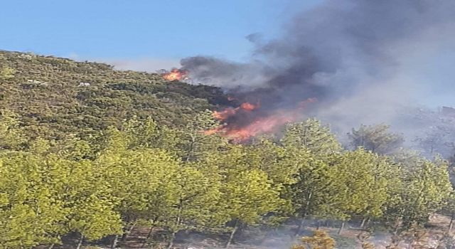 Milas’ın Gürçamlar Mahallesi’nde yangın.