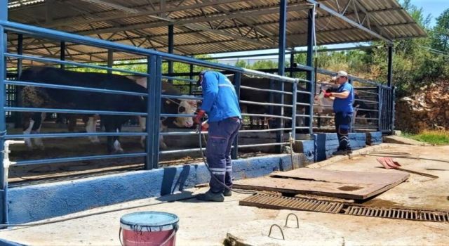 Büyükşehir Mezbahaları ile Kurban Bayramı’na Hazır