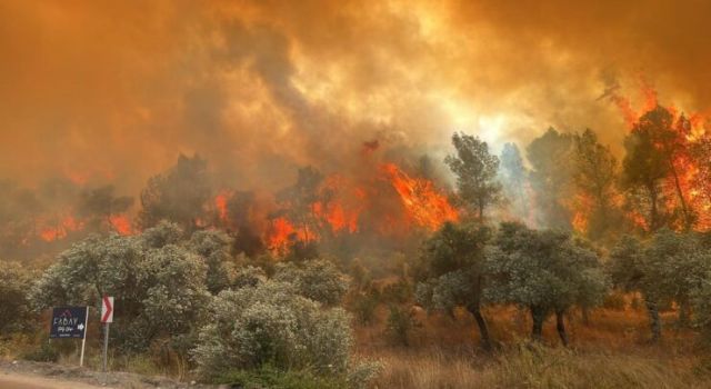 Milas Dikkat…Valilikten Orman Yangını Uyarısı Geldi