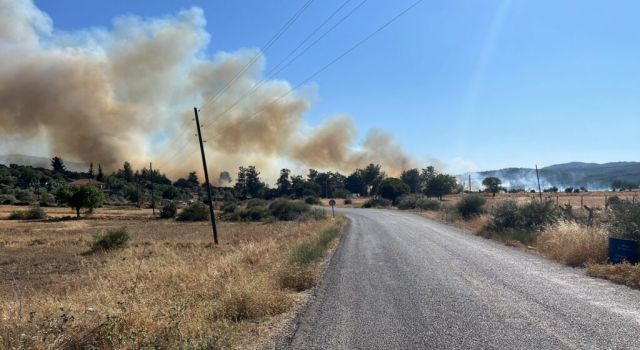 Milas’ın Karacahisar Mahallesi’nde Orman Yangını Başladı