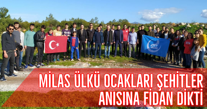 Milas Ülkü Ocakları şehitler anısına fidan dikti