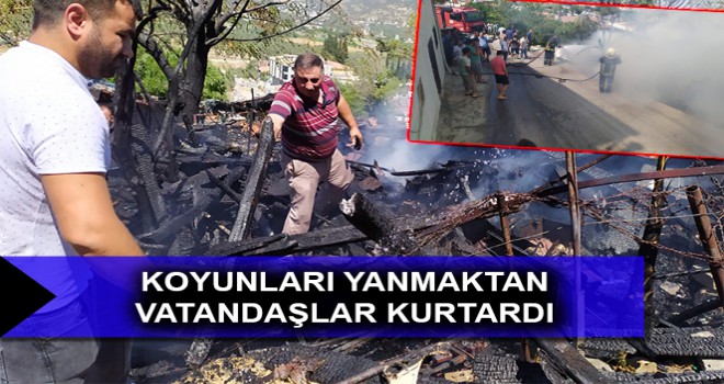 KOYUNLARI YANMAKTAN VATANDAŞLAR KURTARDI