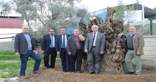 MİTSO’DAN ZİRAAT ODASI’NA YENİ BİNA KUTLAMASI “ÇİFTÇİMİZİN EMEĞİNİ DEĞERLENDİRDİK”