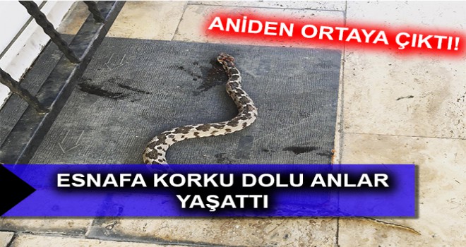 ESNAFA KORKU DOLU ANLAR YAŞATTI