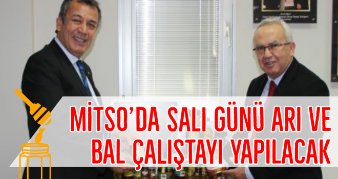 MİTSO’DA SALI GÜNÜ ARI VE BAL ÇALIŞTAYI YAPILACAK