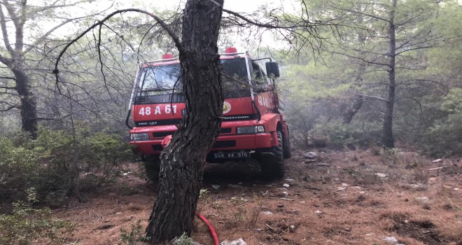 ÇAMLIYURT VE BEYPINARI'NDA KORKUTAN YILDIRIM..