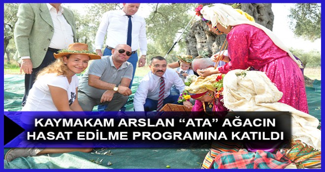 KAYMAKAM ARSLAN “ATA” AĞACIN HASAT EDİLME PROGRAMINA KATILDI