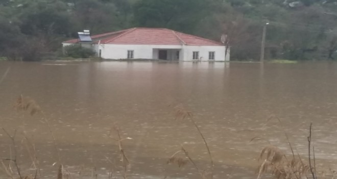 Aşırı yağış sele neden oldu