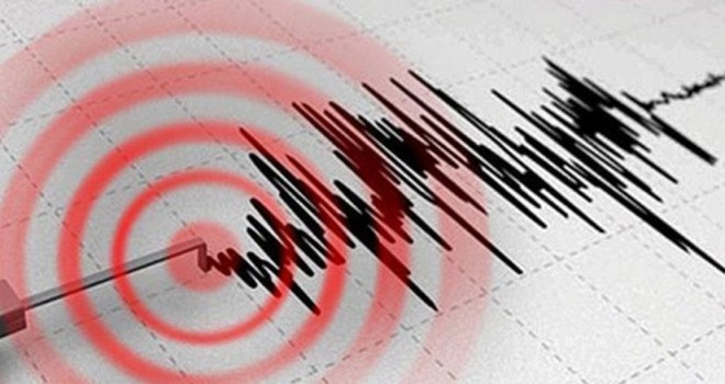 MİLAS'TA KORKUTAN DEPREM