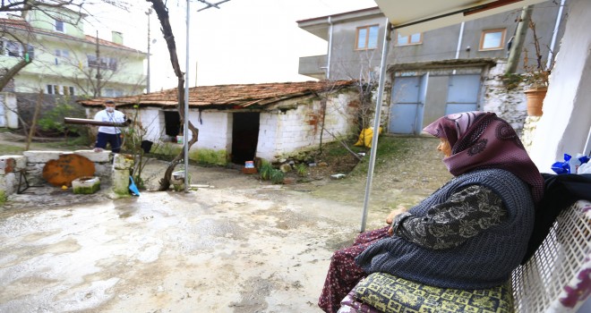 Kırsaldaki çınarlar 632 kez hizmet aldı