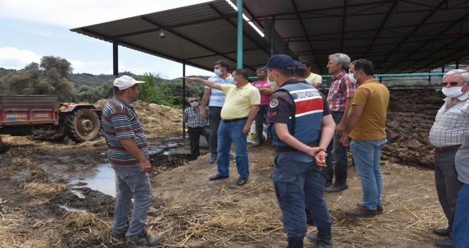 BAŞKAN TOKAT YANGIN ALANLARINDA İNCELEMEDE BULUNDU