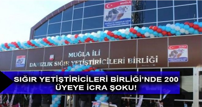 SIĞIR YETİŞTİRİCİLERİ BİRLİĞİ’NDE 200 ÜYEYE İCRA ŞOKU!