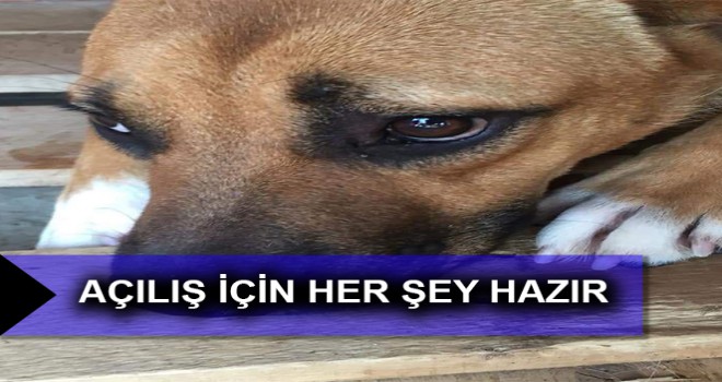 AÇILIŞ İÇİN HER ŞEY HAZIR