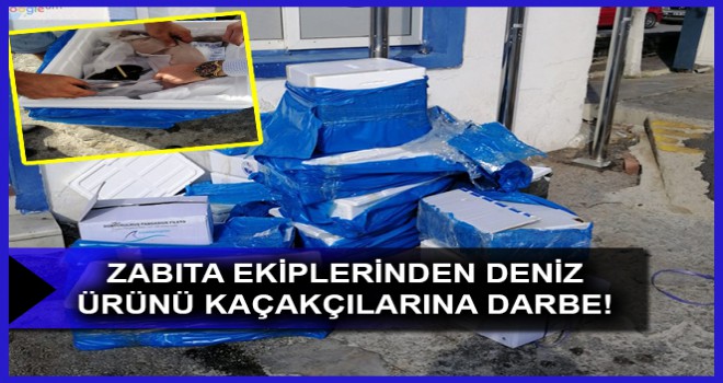 ZABITA EKİPLERİNDEN DENİZ ÜRÜNÜ KAÇAKÇILARINA DARBE!