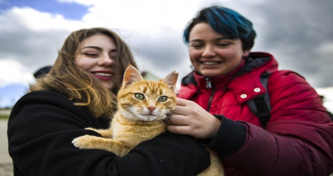 Veteriner adayları hayvan bakım evini ziyaret etti