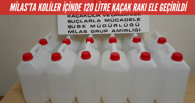 MİLAS'TA KOLİLER İÇİNDE 120 LİTRE KAÇAK RAKI ELE GEÇİLDİ