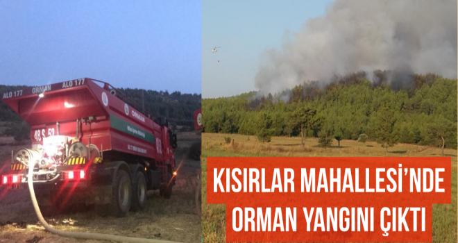 KISIRLAR MAHALLESİ’NDE ORMAN YANGINI ÇIKTI