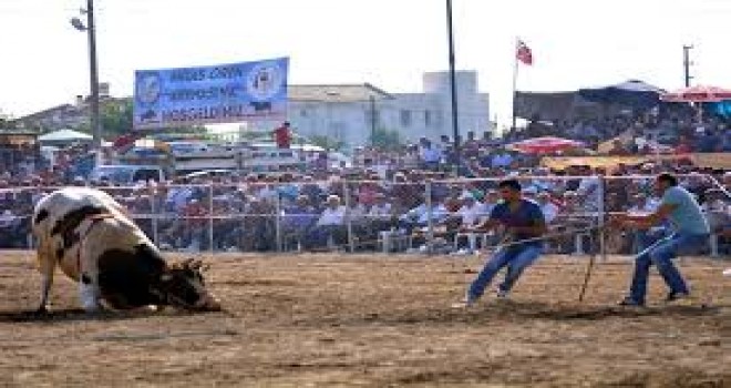 ŞAMPİYONLAR, MİLAS ARENA’DA BOY GÖSTERECEK…