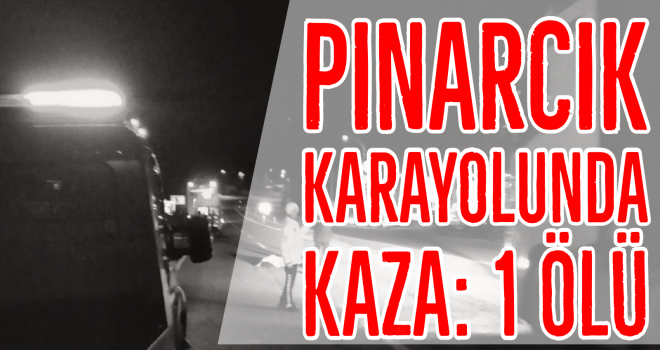 Pınarcık Karayolunda kaza: 1 ölü