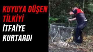 KUYUYA DÜŞEN TİLKİYİ İTFAİYE EKİPLERİ KURTARDI