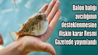 Balon balığı avcılığının desteklenmesine ilişkin karar Resmi Gazetede yayımlandı