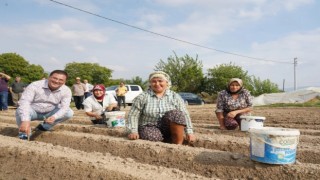 Milas Belediyesi’nden İlçe Tarımına Büyük Destek