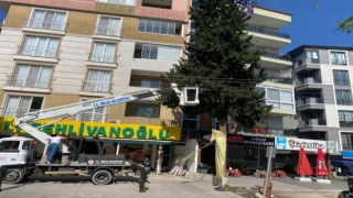 Milas’ta Elektrik Kesintisi, Ağaç Budama Çalışmalarıyla Değerlendirildi