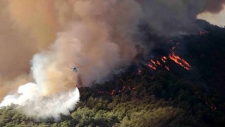 Havaların aşırı ısınmasıyla orman yangınları konusunda alarm verildi