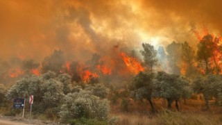Milas Dikkat…Valilikten Orman Yangını Uyarısı Geldi