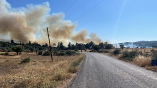 Milas’ın Karacahisar Mahallesi’nde Orman Yangını Başladı