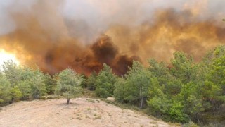 Son Dakika…Milas’ın Kısırlar Mahallesi’nde Orman Yangını Başladı