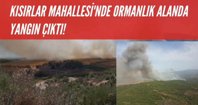 KISIRLAR MAHALLESİ'NDE ORMANLIK ALANDA YANGIN ÇIKTI!