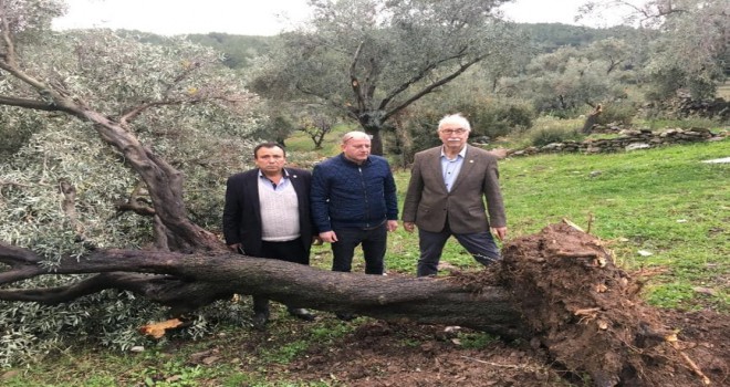 HORTUMUN VURDUĞU EKİZKÖY’DE HASAR TESPİT ÇALIŞMASI YAPILDI