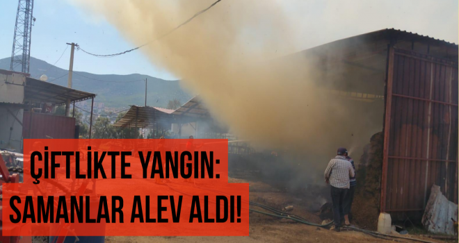 ÇİFTLİKTE YANGIN: SAMANLAR ALEV ALDI!