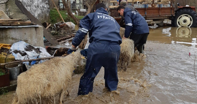 Milas doğal afeti derinden yaşadı