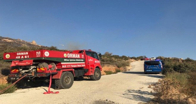 TURGUTREİS'DE ÇIKAN YANGINA MİLAS ORMAN MÜDÜRLÜĞÜN'DEN DESTEK