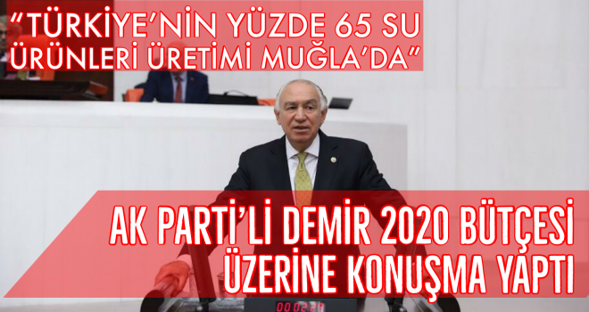 AK Parti’li Demir 2020 bütçesi üzerine konuşma yaptı