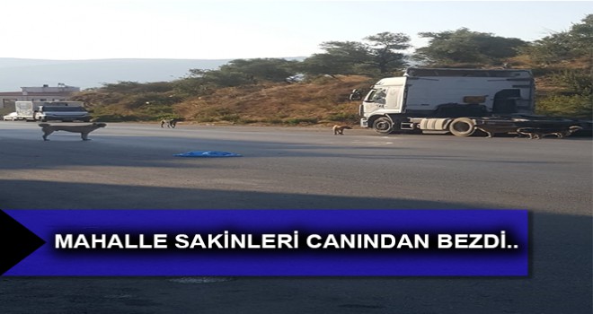 MAHALLE SAKİNLERİ CANINDAN BEZDİ..