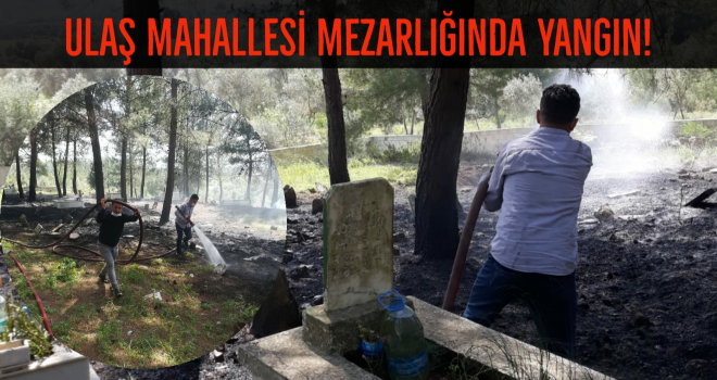 ULAŞ MAHALLESİ MEZARLIĞINDA YANGIN!