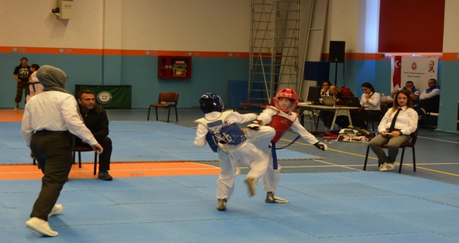 Büyükşehir’in 23 Nisan kutlamaları Taekwondo turnuvasıyla başladı