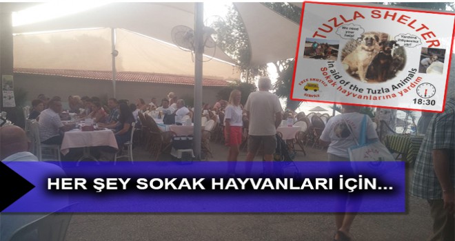 HER ŞEY SOKAK HAYVANLARI İÇİN...