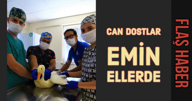 CAN DOSTLAR EMİN ELLERDE