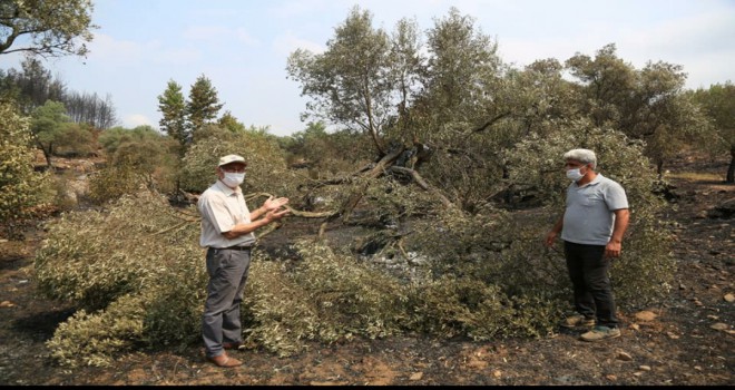 Başkan Atıcı, yanan alanları inceledi